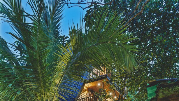 A tropical garden with a stone structure, palm trees, and a pathway. - River View Villa (Dharga Town)