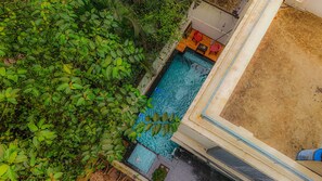 A small pool with a wooden deck and a few chairs, surrounded by dense foliage.
