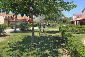 Premium Apartment, 2 Bedrooms | Garden - Apartment in Vada Near Restaurants (Rosignano Marittimo)
