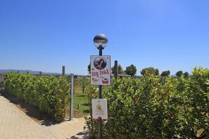 Classic Apartment, 3 Bedrooms | Exterior - Apartment in Vada Near Restaurants (Rosignano Marittimo)