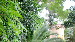 Garden - Apartment in Imperia With Heating (Imperia)