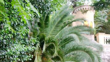 Comfort Villa, 1 Bedroom | Garden