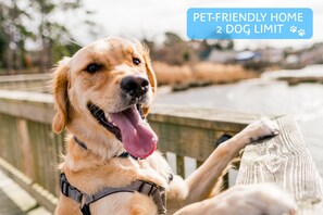 Pet-friendly - Classic Outer Banks soundside beach house near Duck Town Park! (Duck)