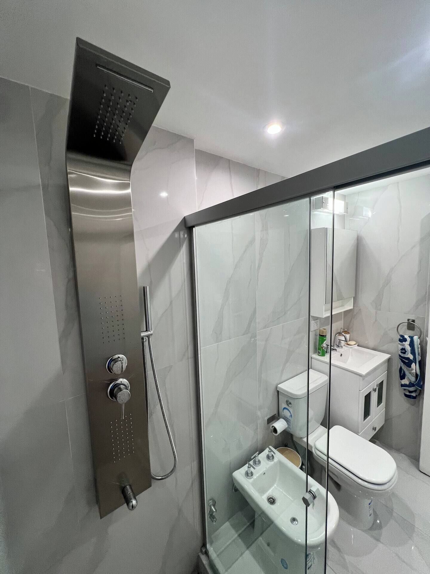 Shower, hair dryer, bidet, towels