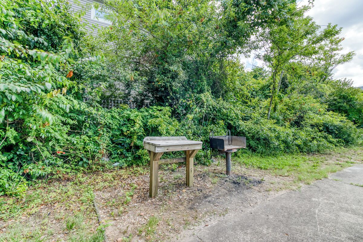 A wooden bench and a mailbox in a natural setting with dense foliage.