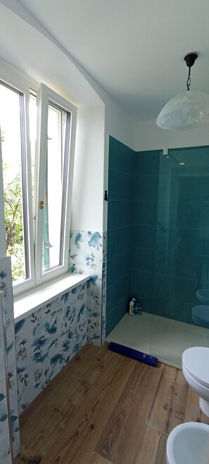 Dusche, Haartrockner, Bidet, Handtücher