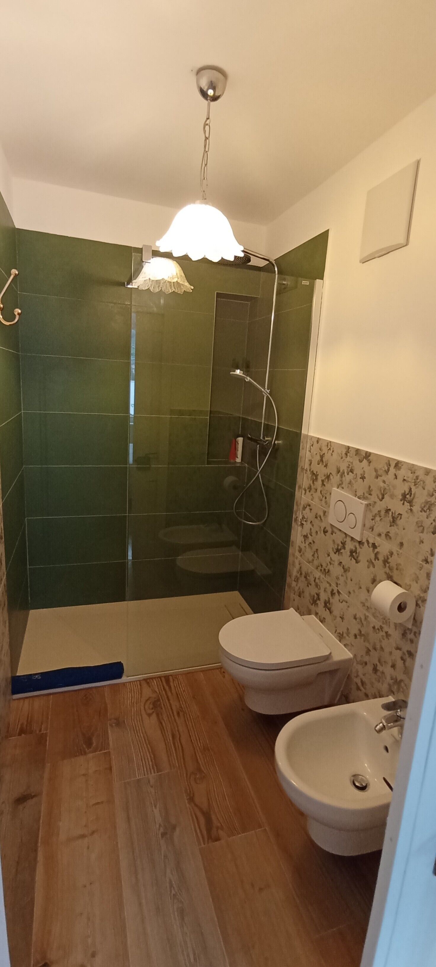 Dusche, Haartrockner, Bidet, Handtücher