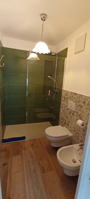 Regadera, secadora de cabello, bidet, toallas 