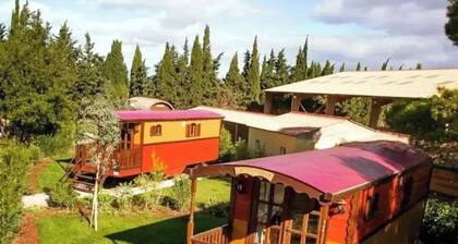 Roulotte toute équipée en campagne languedocienne . Nature, calme.