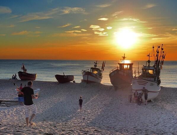 Casa | Vista des de l'allotjament