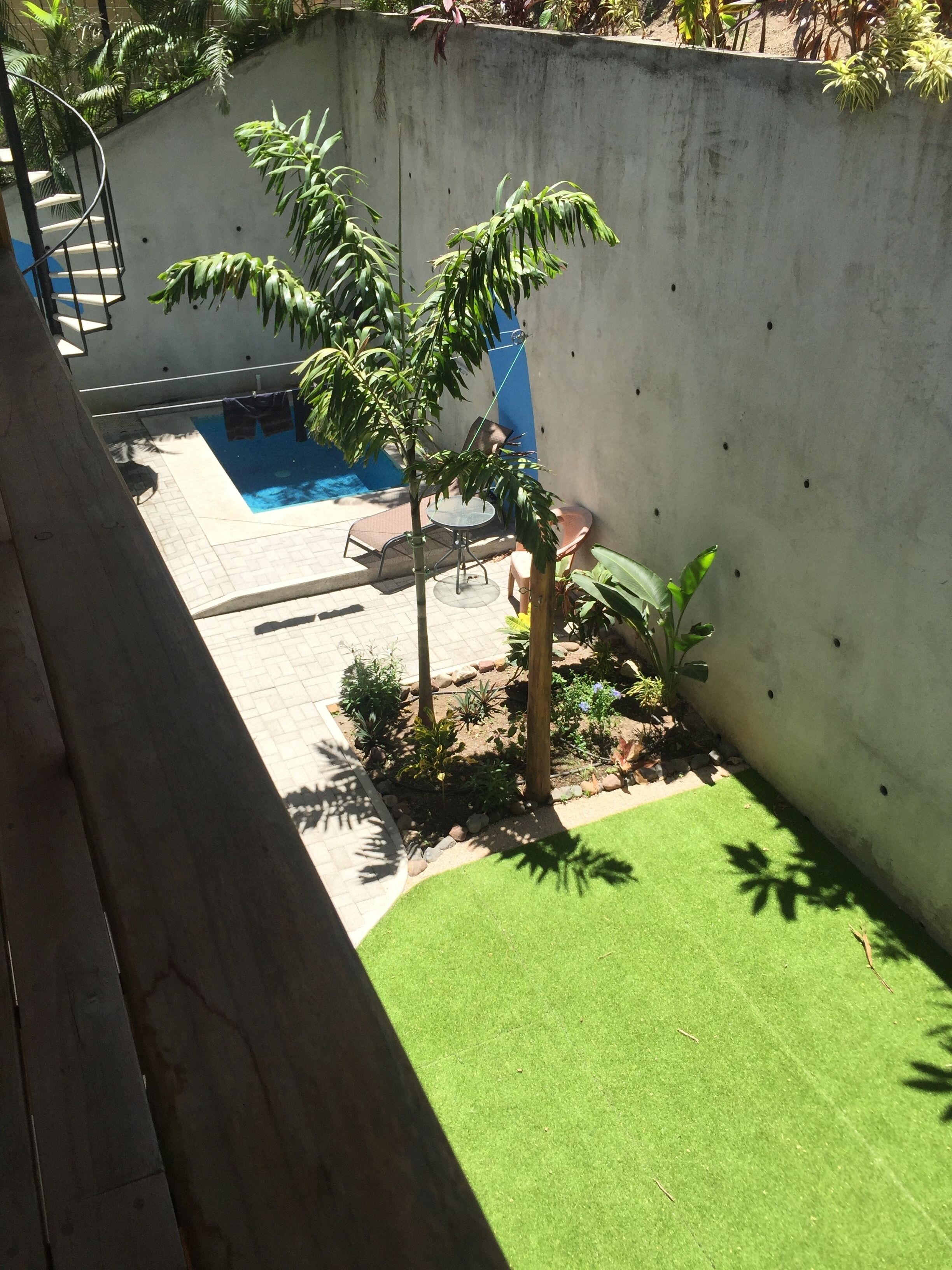 Un espace piscine agrémenté d’un mur en béton, d’un petit palmier et d’une terrasse avec une table et des chaises.