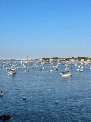 A marina with numerous boats docked.