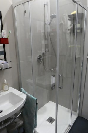Shower, hair dryer, bidet, towels