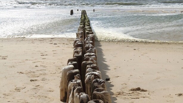 Eine hölzerne Mole, die sich in den Ozean an einem sandigen Strand erstreckt.
