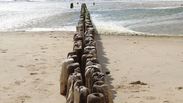On the beach