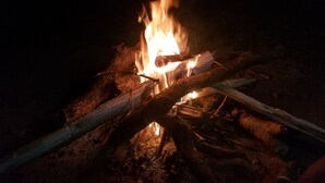 A campfire with logs and embers, surrounded by dirt and rocks.
