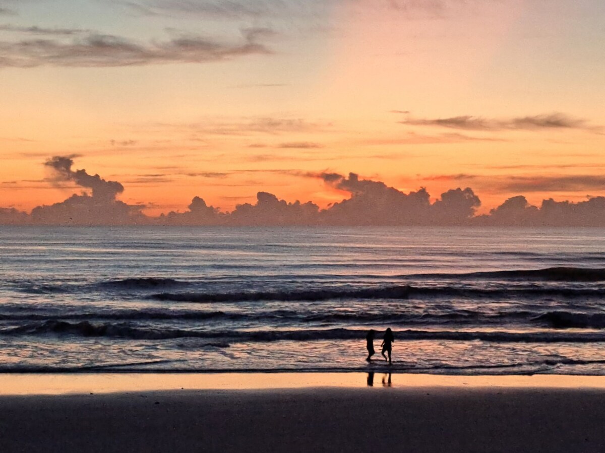 Værtens profilbillede