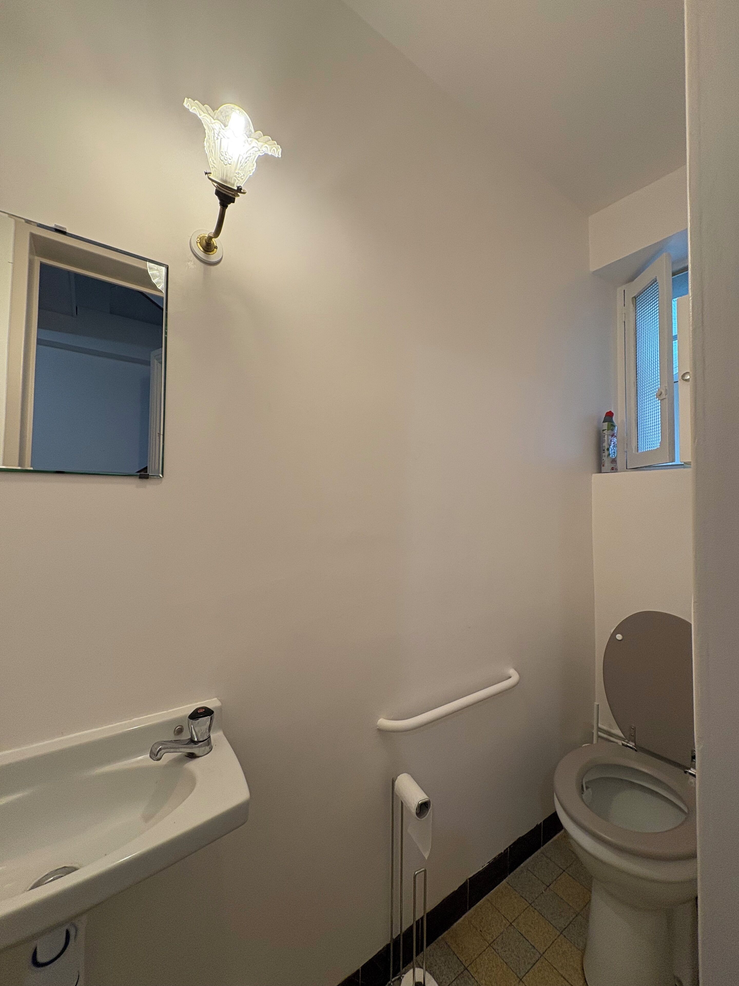 A bathroom with a sink, toilet, and a mirror.