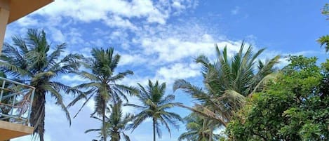 Chambre Deluxe, balcon, vue mer | Coin séjour