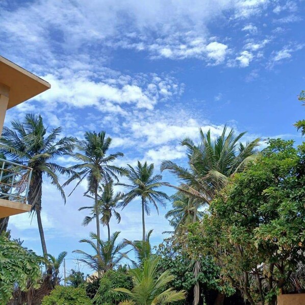 Deluxe Room, Balcony, Sea View | Living area - Alankuda Dolphin Village (Norocholai)