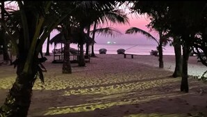 A beach with palm trees and a thatched-roof structure. - Alankuda Dolphin Village (Norocholai)