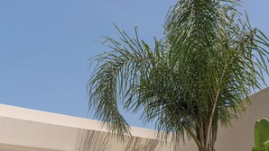 A woman sitting on outdoor steps with a palm tree and a modern building in the background.
