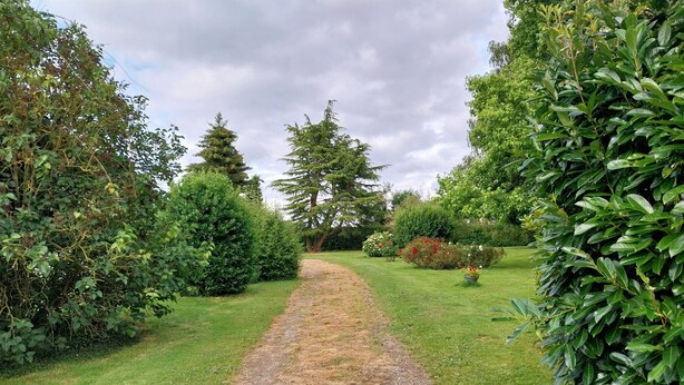 A gravel path leading through a well-maintained garden with various shrubs and trees. - Very quiet country house (Les Monts du Roumois)