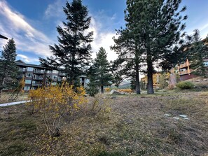Property grounds - NEW! Juniper Springs Lodge #246 (Mammoth Lakes)