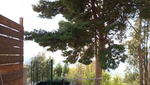 A patio area with a wooden fence, a metal gate, a large tree, and a planter with green plants.