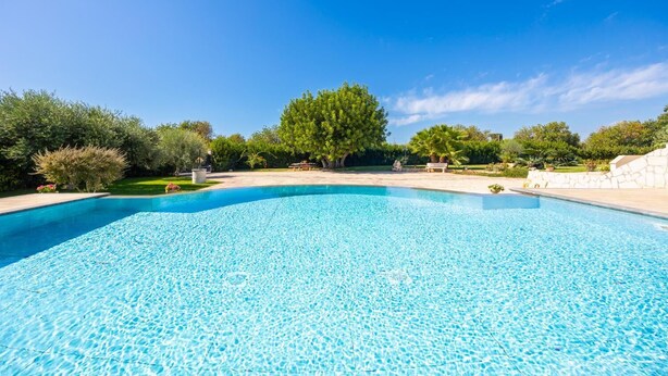 Ein klares, blaues Schwimmbecken, umgeben von einem liebevoll angelegten Garten mit Bäumen und Sträuchern.