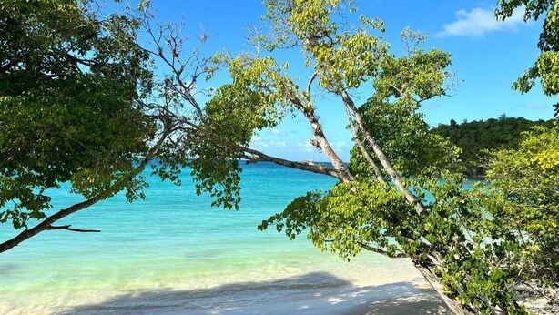 Een strand met helder turquoise water en weelderige groene bomen.