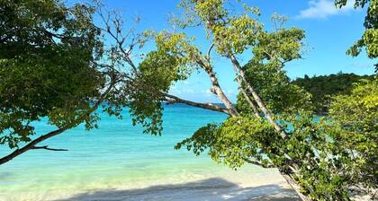 For an exceptional moment!