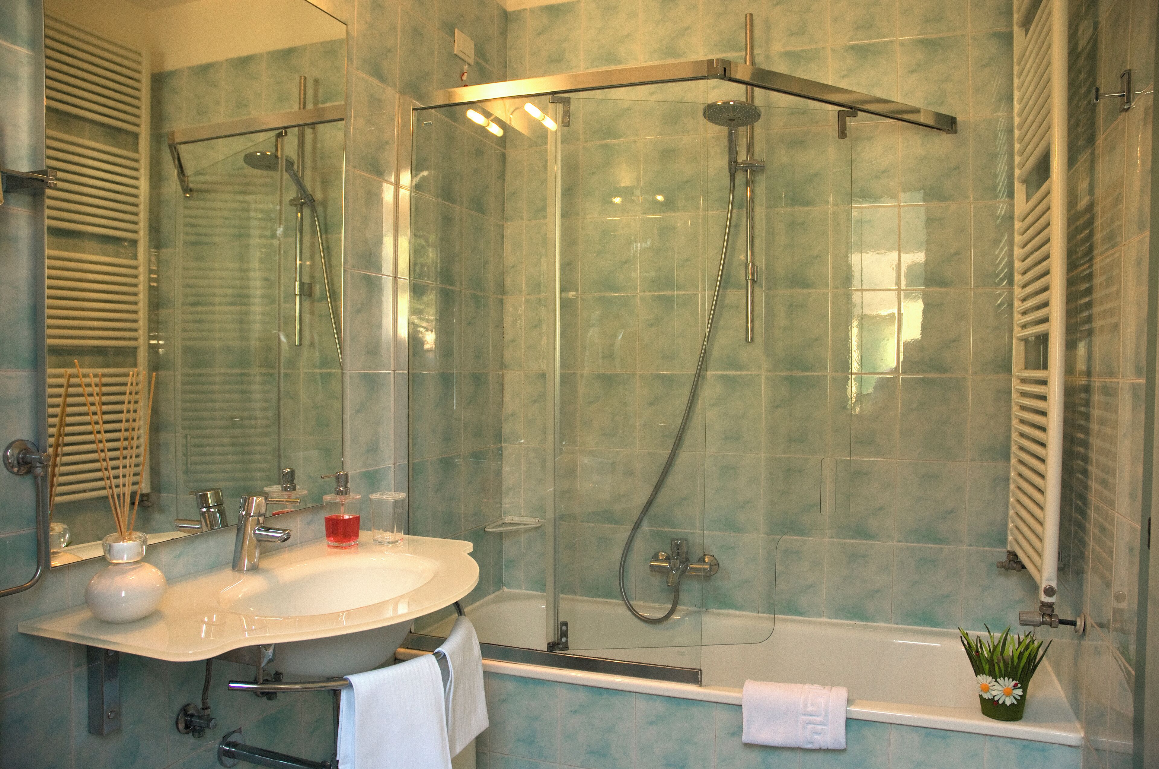 Une salle de bain moderne avec une douche à parois de verre, un lavabo blanc et une petite plante posée sur le meuble-lavabo.
