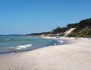 A beach with clear blue water, sandy shore, and a forested hillside.