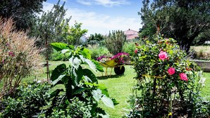 A garden with a variety of plants and flowers, a wheelbarrow with flowers, and a house in the background. - Two Bedroom Apartment with Balcony (Kastel Novi)