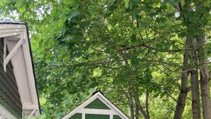 A green shed with a white trim and a triangular roof, surrounded by trees. - Tranquil bungalow with WiFi in charming Bridgton (Bridgton)