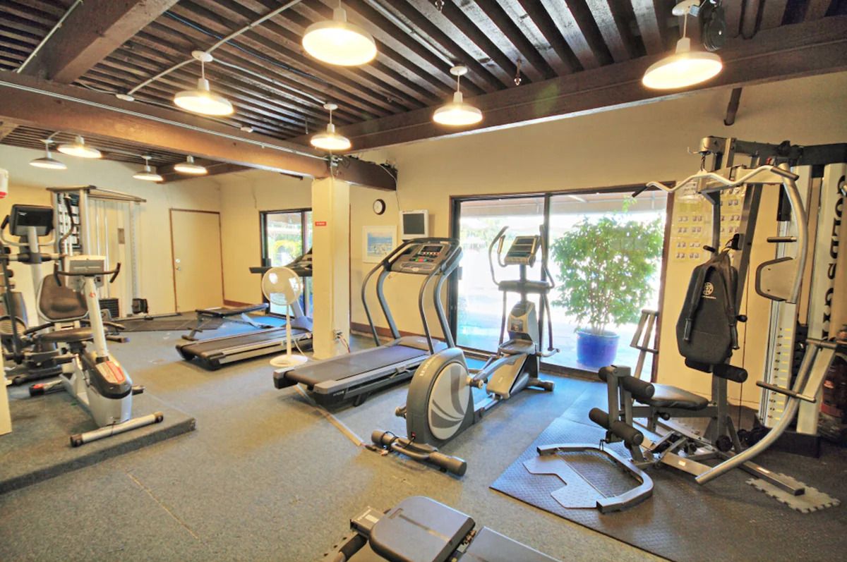 Bright on-site gym with cardio machines, weights, and natural light