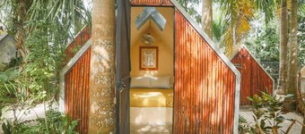 Bufo Alvarius Sanctuary
