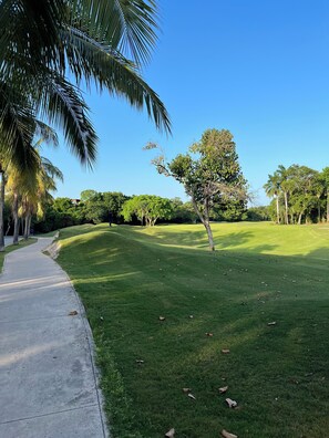 A well-maintained grassy area with a concrete path, surrounded by trees and a clear blue sky.