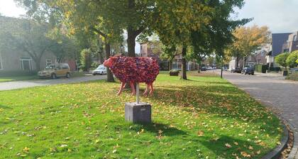 Private room with en-suite bathroom, separate entrance, cozy and comfortable.