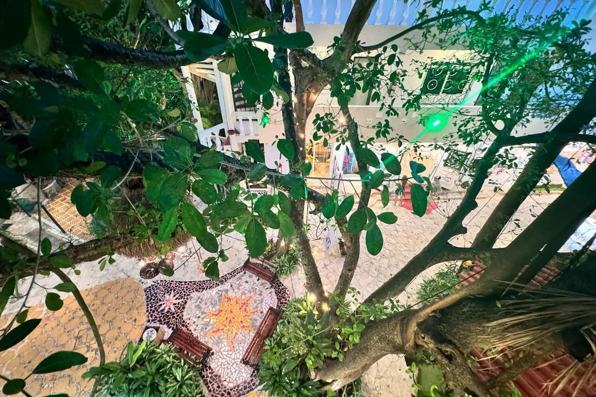 Junior Double Room | Garden view