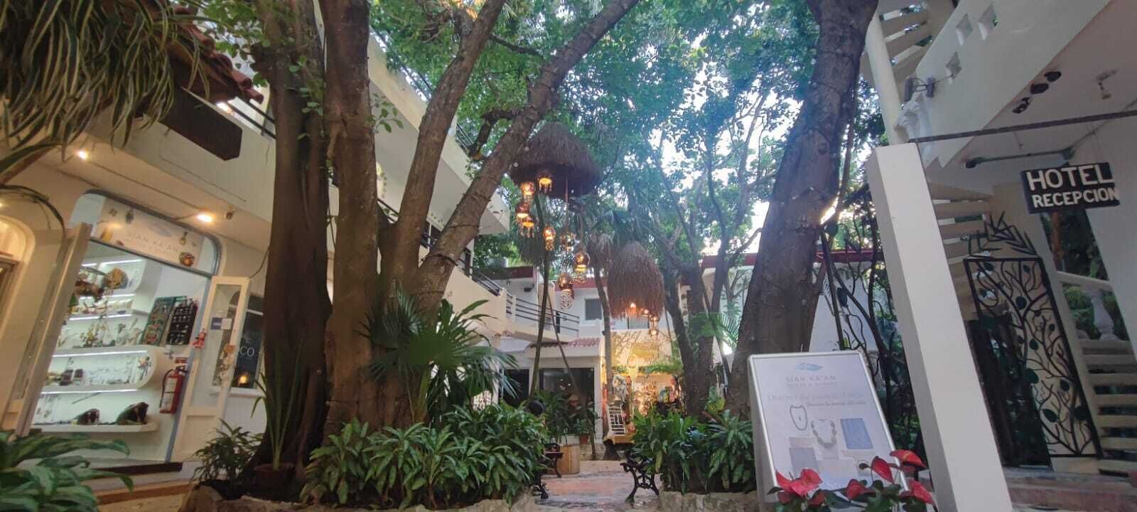 Foto - Hotel Ha Garden Gallery - 5th Avenue