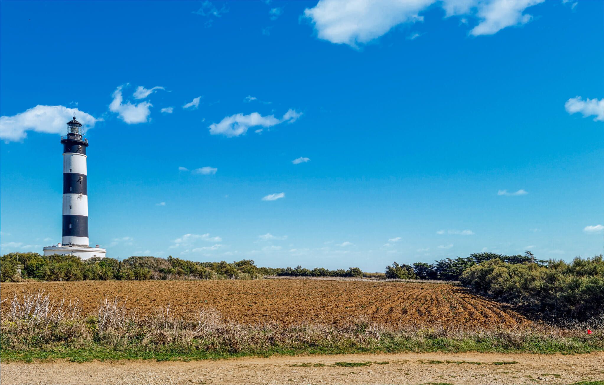 A lighthouse with a black and white striped tower, surrounded by a plowed field and sparse vegetation under a clear blue sky.