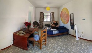 Interior - Ozeli bed and breakfast. Steady and charming hostel in Oaxaca city. (Oaxaca de Juárez)