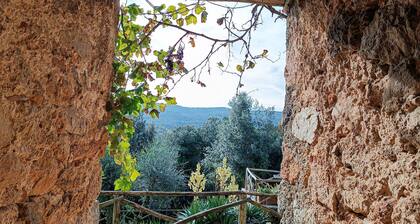 Awesome apartment in Monticiano