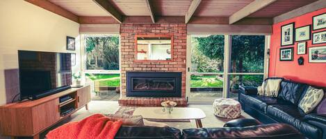 Smart TV, fireplace, books