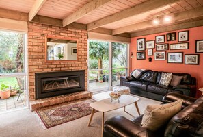 Smart TV, fireplace, books