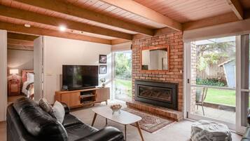 Smart TV, fireplace, books