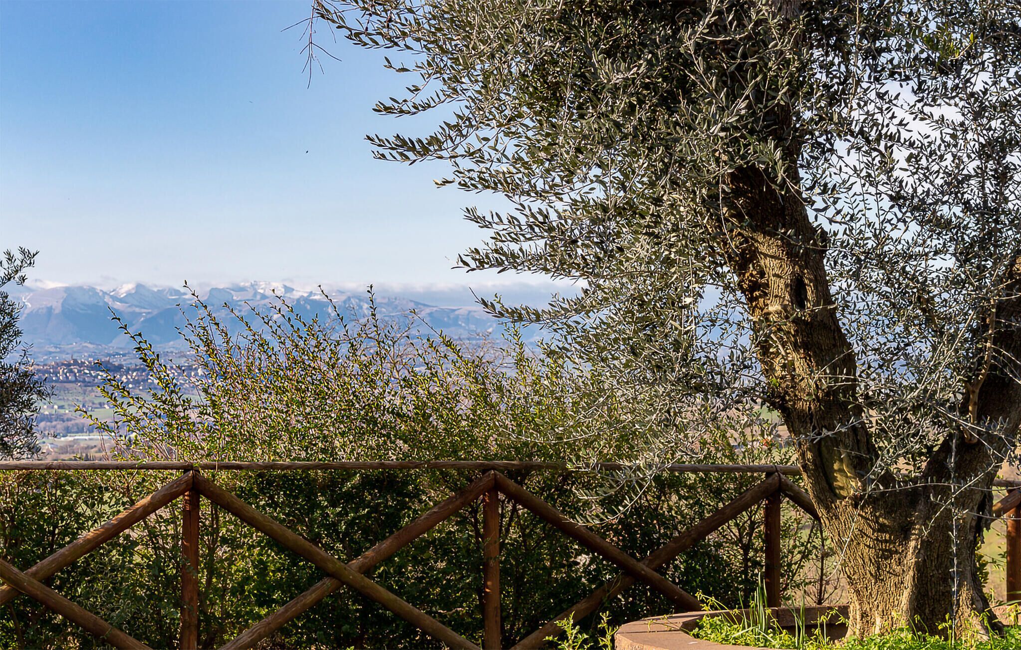 Parco della struttura