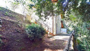 A pathway leading to a building with a stone wall and a metal gate.